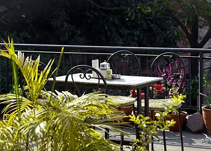 Garden Hotel 3*